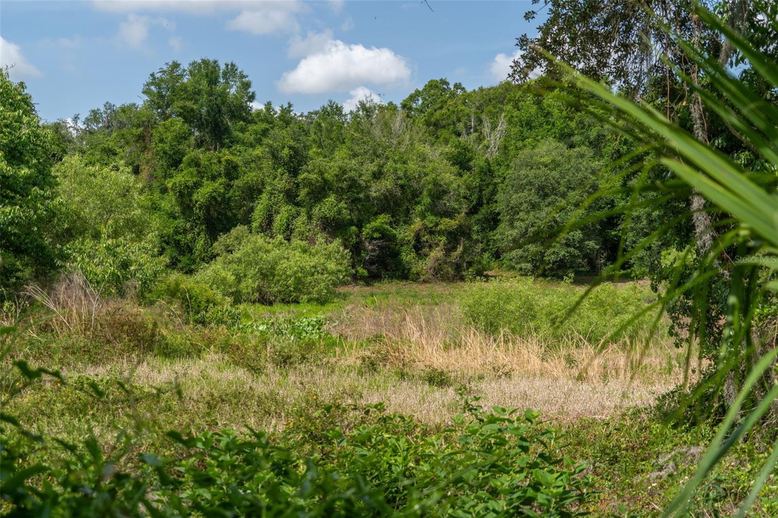 Image 26 of 31 For 3482 County Road 507