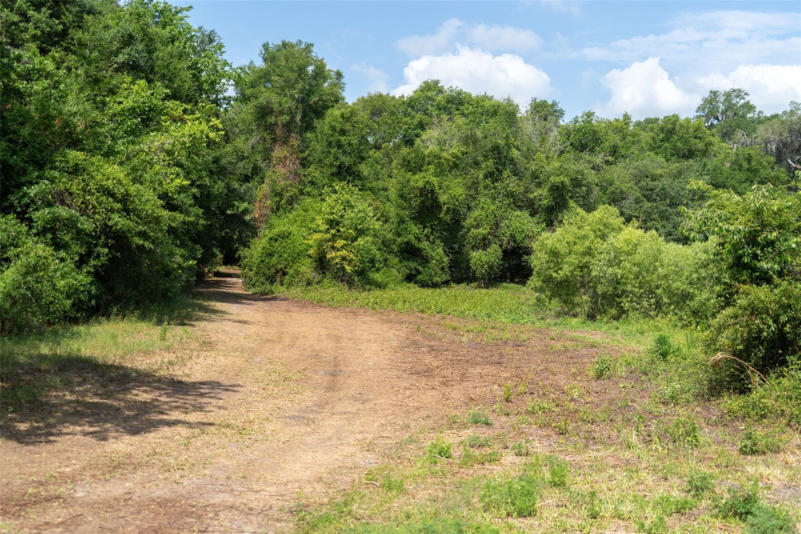 Image 28 of 31 For 3482 County Road 507