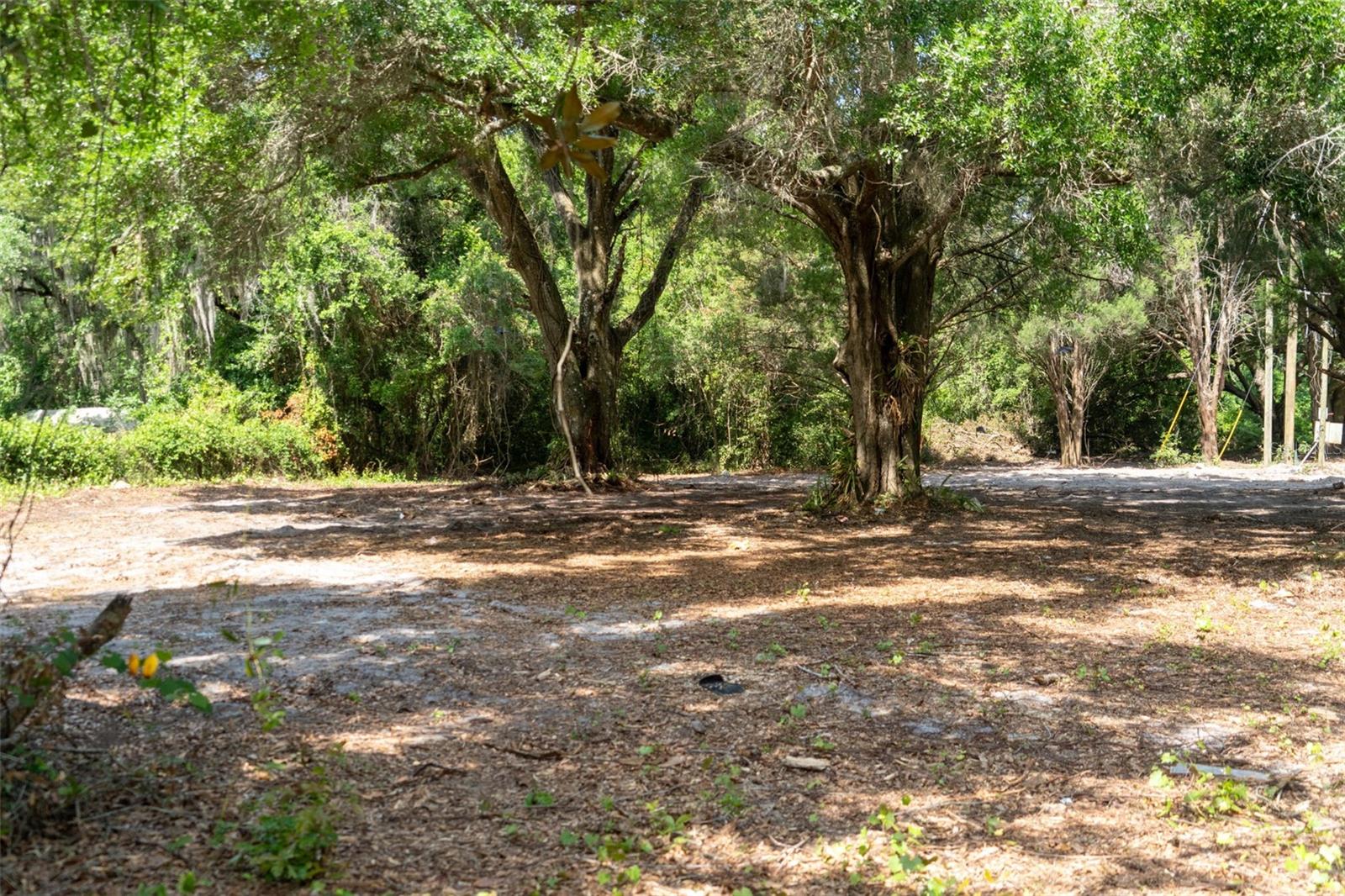 Image 4 of 31 For 3482 County Road 507