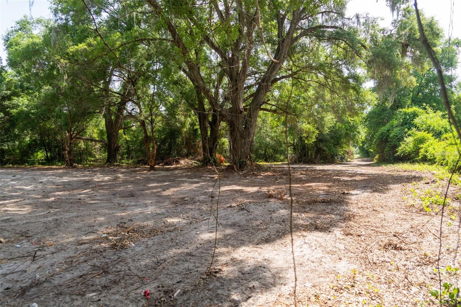 Image 5 of 31 For 3482 County Road 507