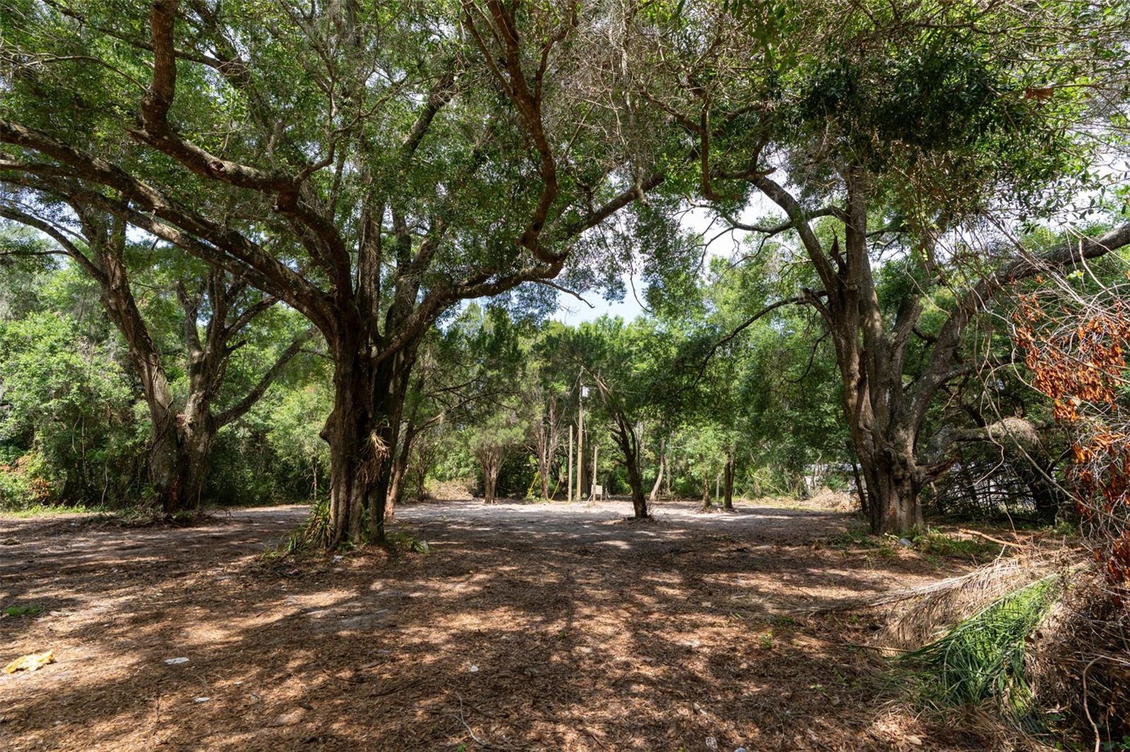Image 9 of 31 For 3482 County Road 507