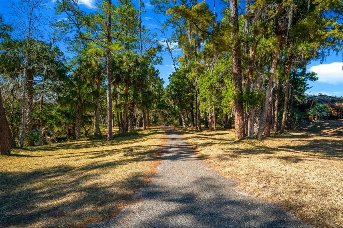 Image 81 of 99 For 3255 104th Avenue
