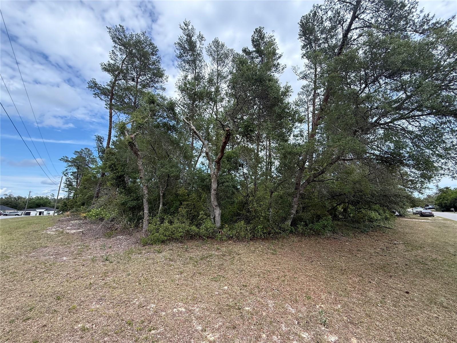 Image 4 of 6 For 0 33rd Court Road
