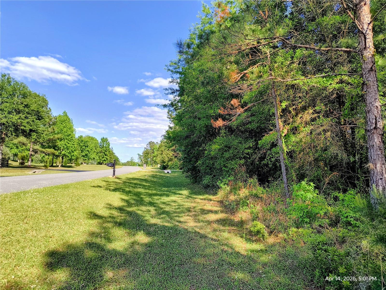 Image 3 of 8 For Tbd 142nd Street