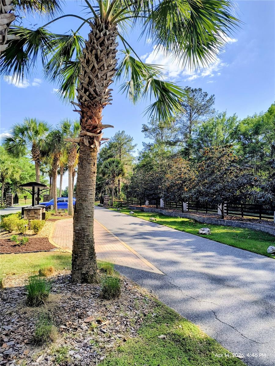 Image 8 of 8 For Tbd 142nd Street