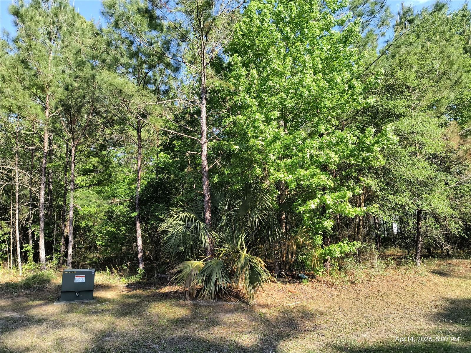 Details for Tbd 141st Avenue, WILLISTON, FL 32696
