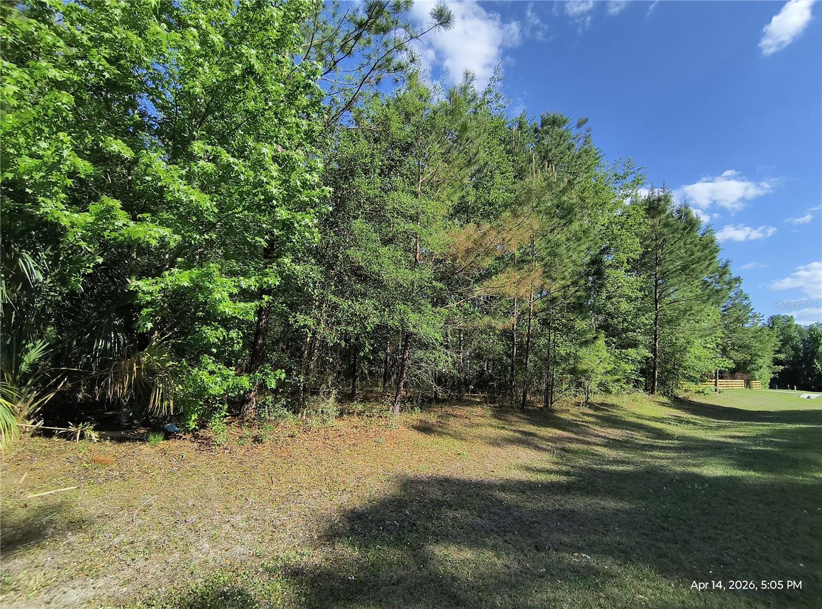 Image 4 of 7 For Tbd 141st Avenue
