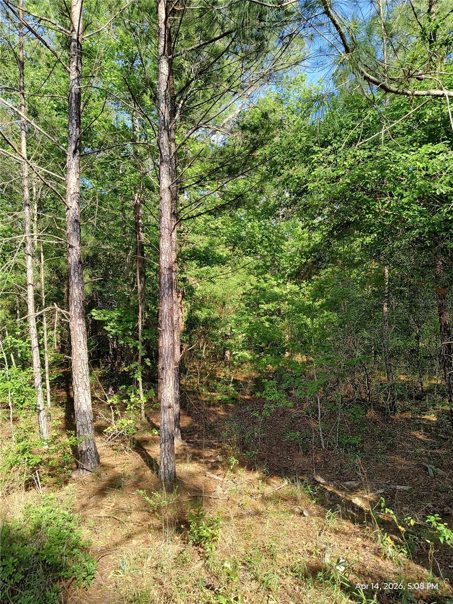 Image 6 of 7 For Tbd 141st Avenue