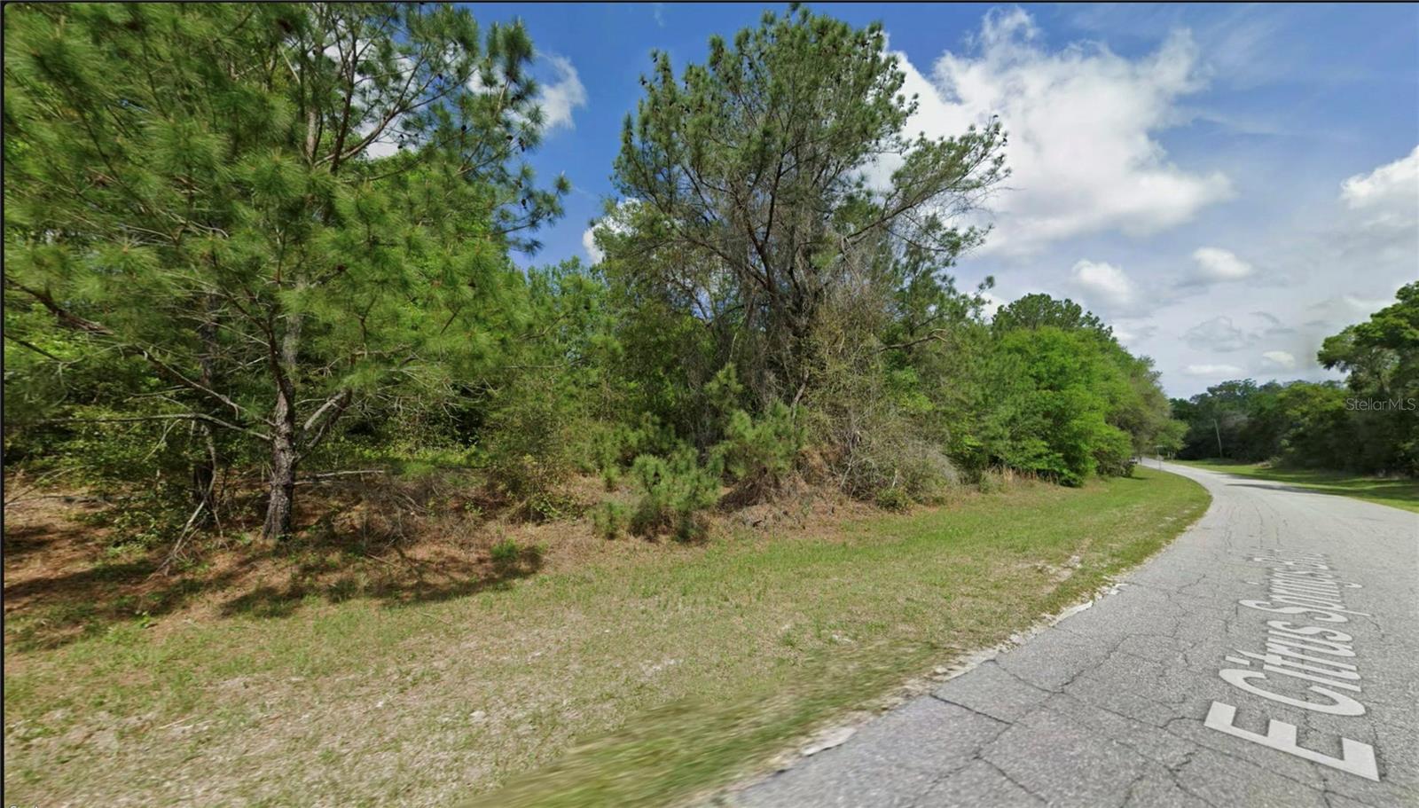 Details for 325 Citrus Springs Boulevard, CITRUS SPRINGS, FL 34434