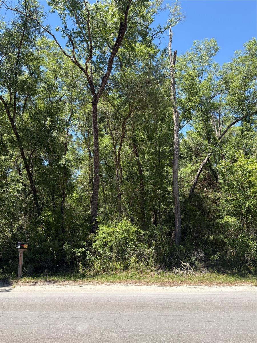 Details for 00 Ne 7th Place, WILLISTON, FL 32696