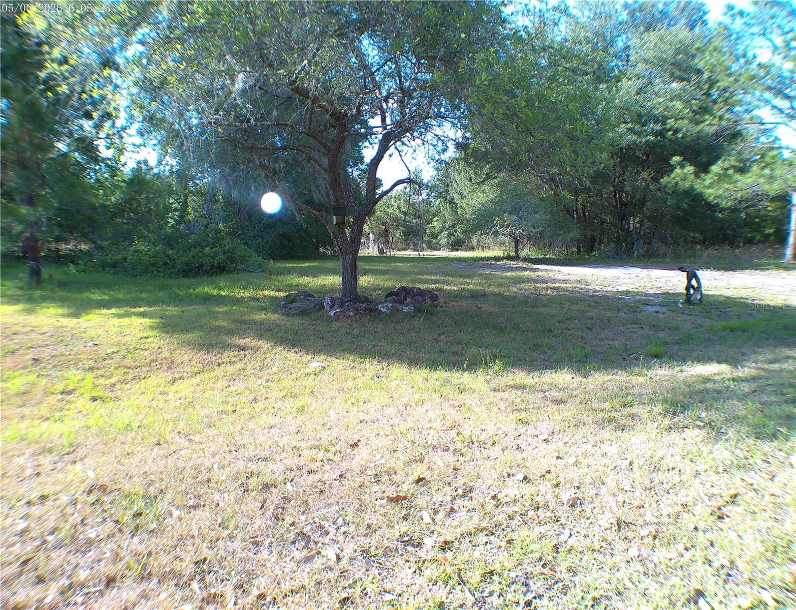 Details for Sequoia Drive Trace, OCKLAWAHA, FL 32179