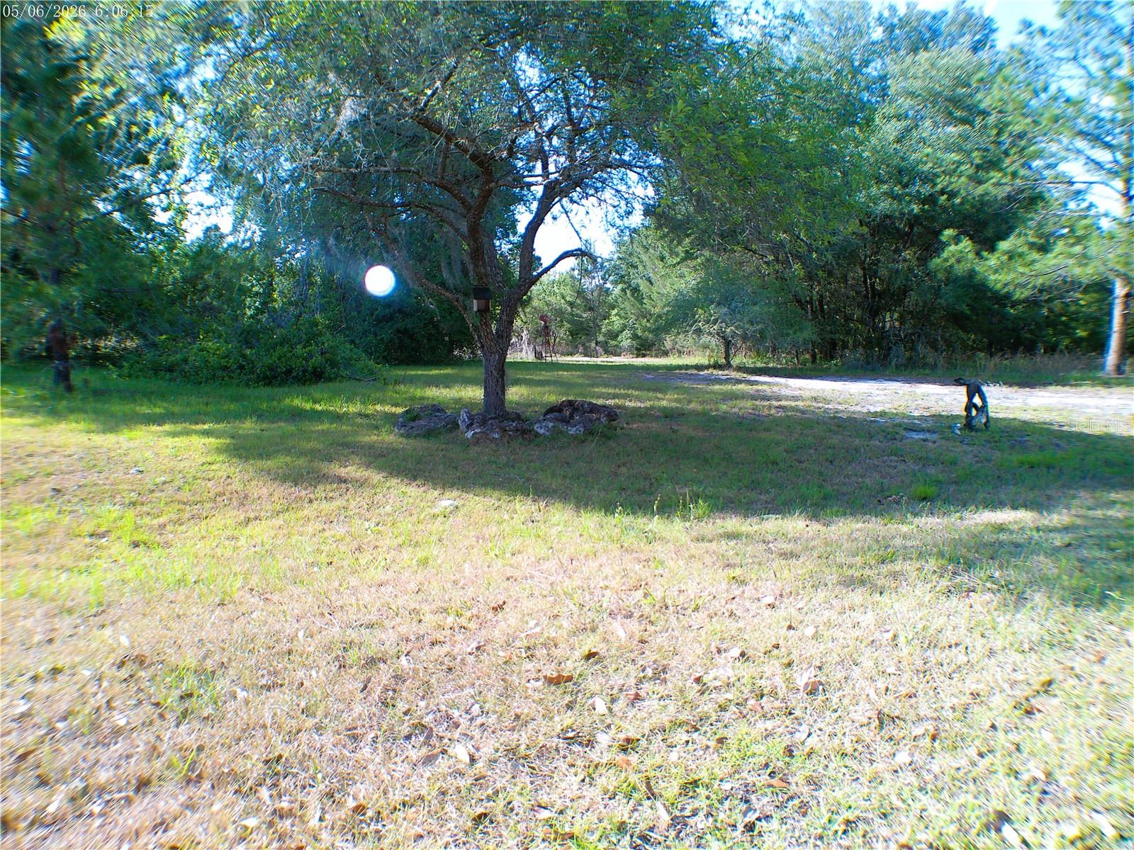 Image 2 of 4 For Sequoia Drive Trace