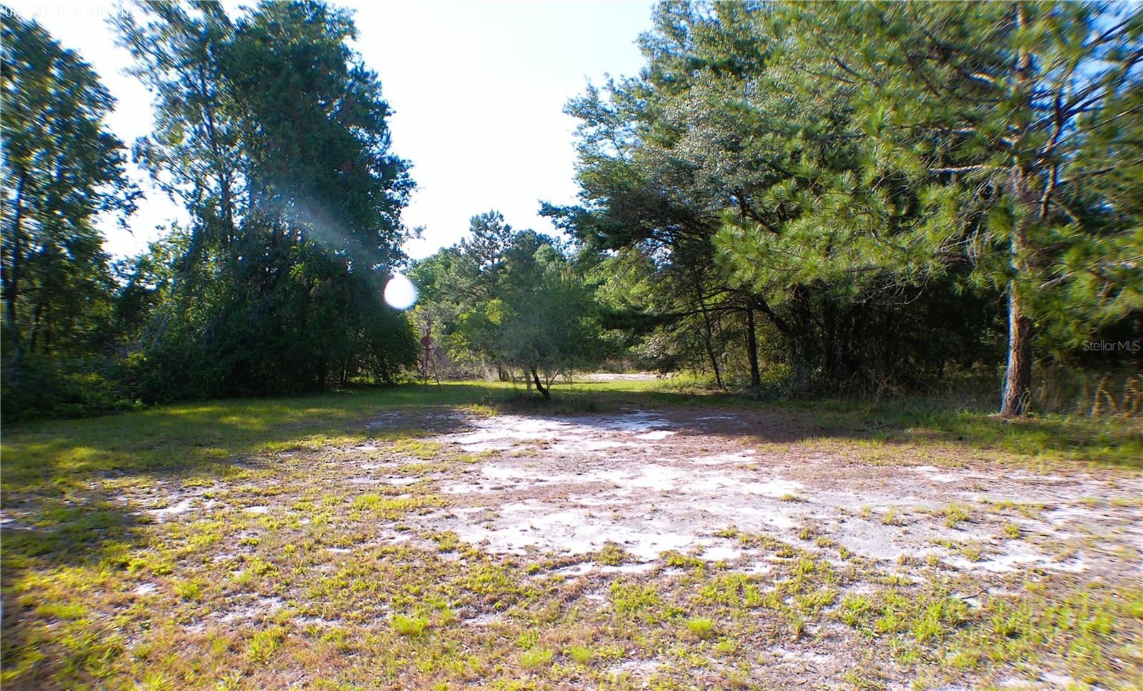 Image 4 of 4 For Sequoia Drive Trace