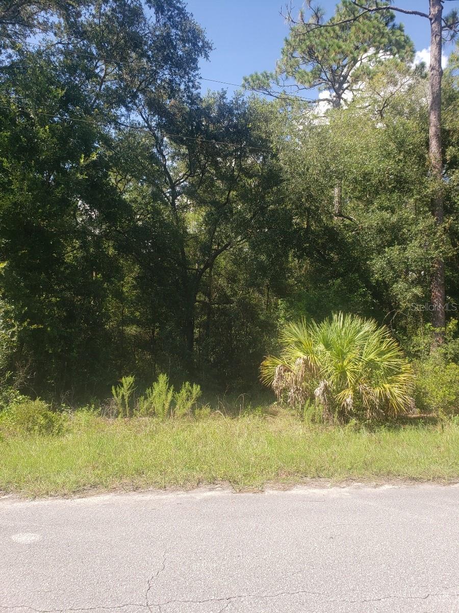Details for 2949 Grapevine Court, DUNNELLON, FL 34433