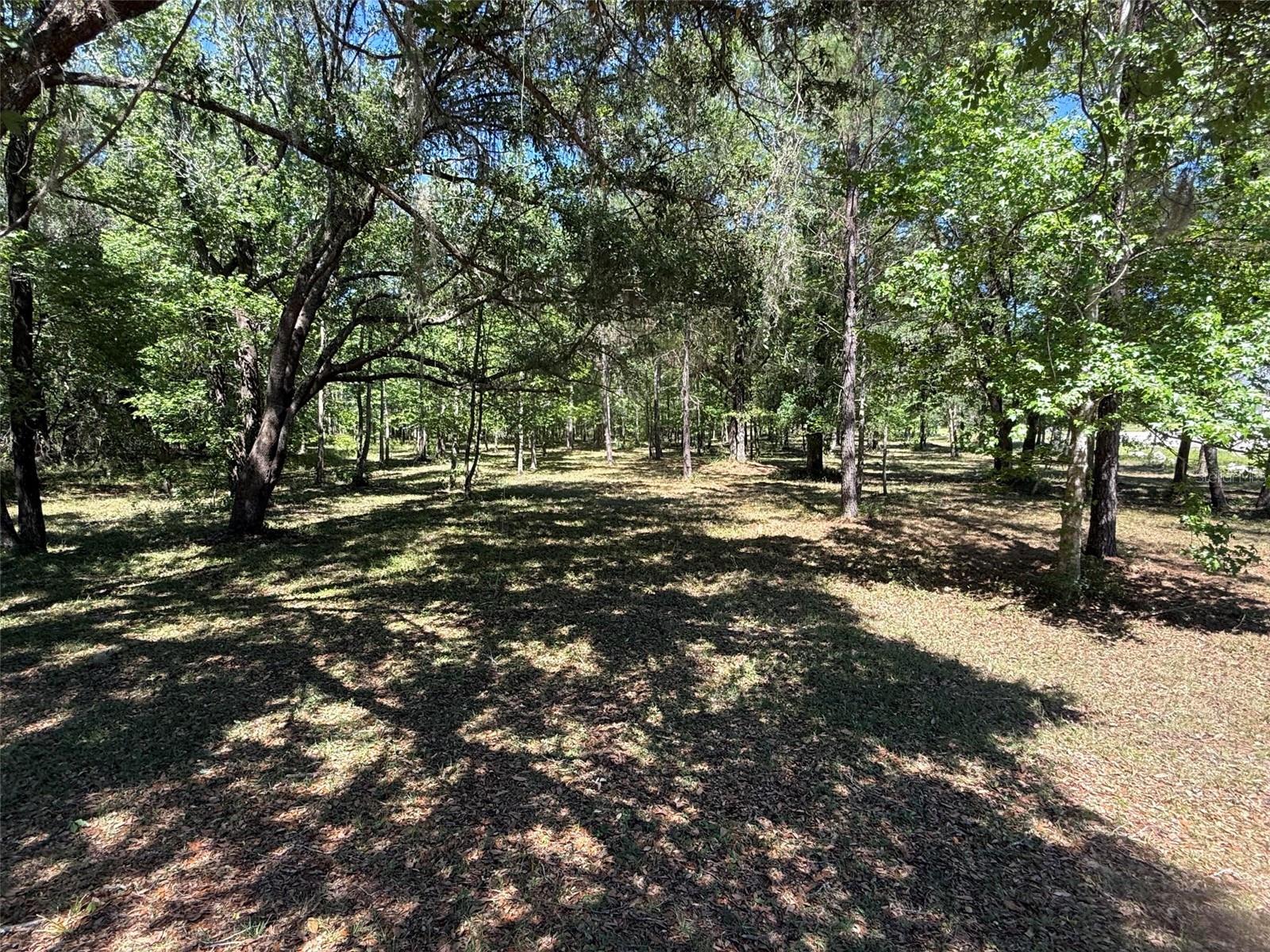 Details for 0 145 Avenue, WILLISTON, FL 32696