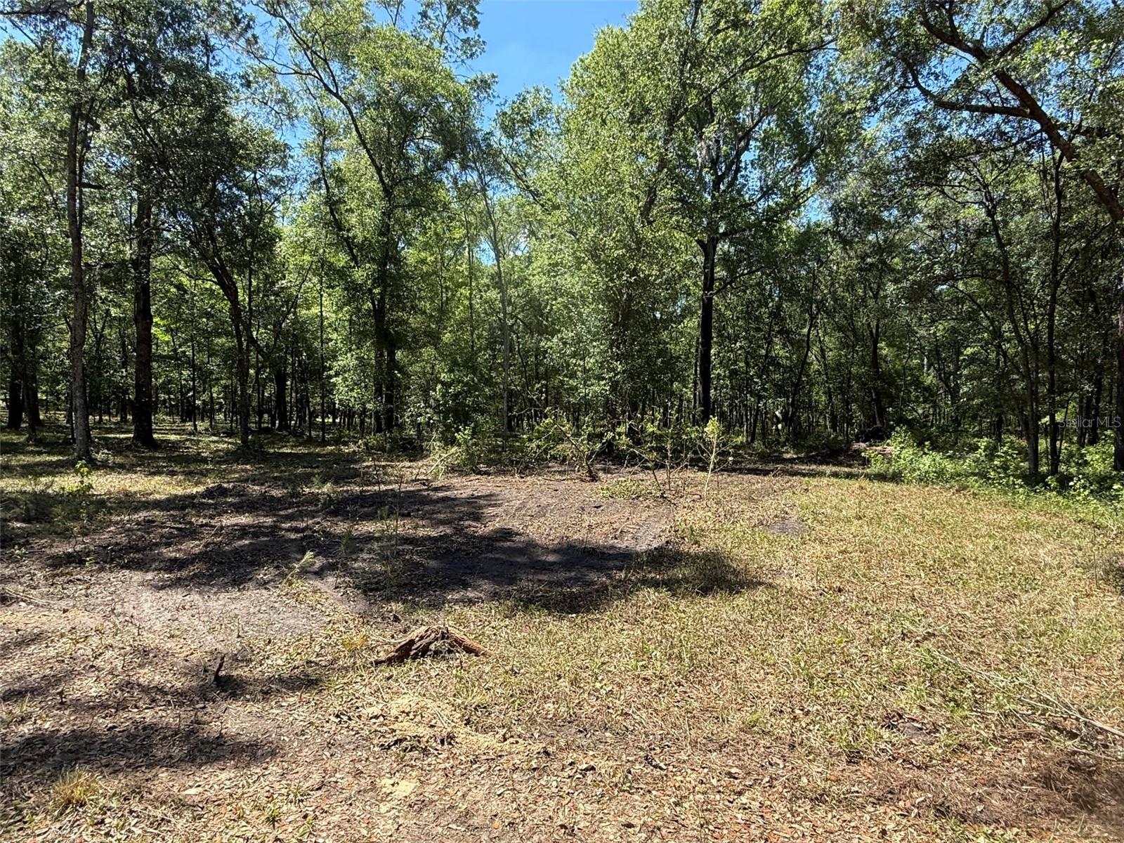 Image 6 of 9 For 0 145 Avenue