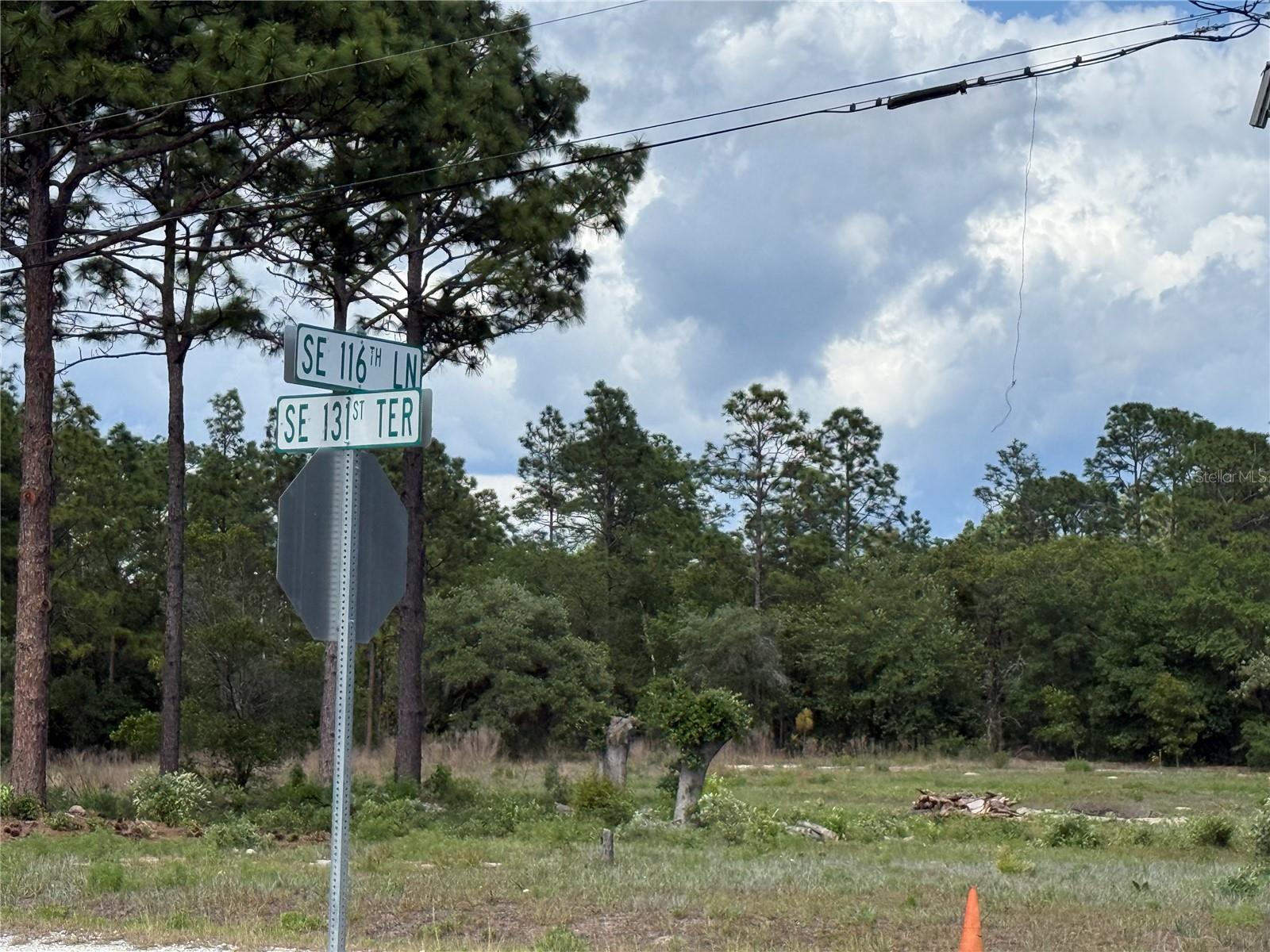 Image 2 of 4 For 00 116th Lane