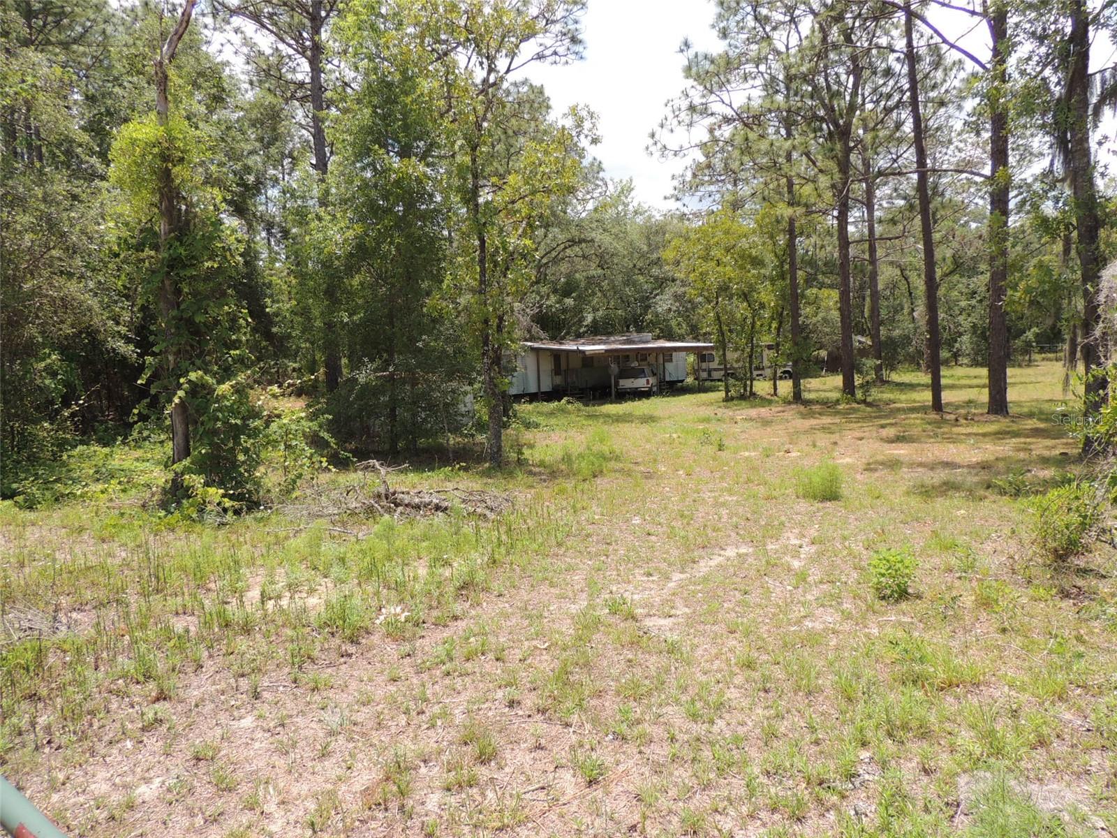 Details for 250 131st Avenue, WILLISTON, FL 32696