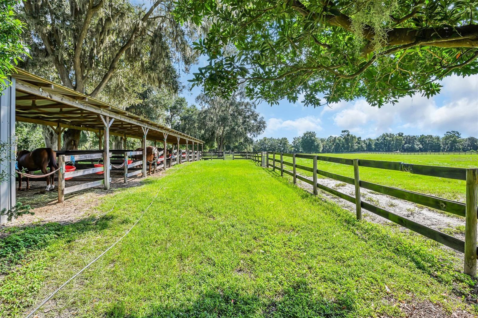 Image 18 of 29 For 6155 145th Ave Road