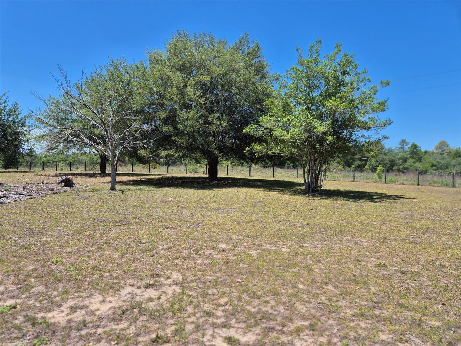 Image 12 of 40 For 11651 73rd Lane