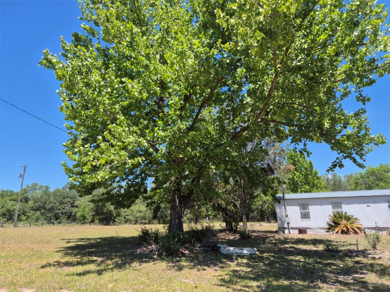 Image 14 of 40 For 11651 73rd Lane