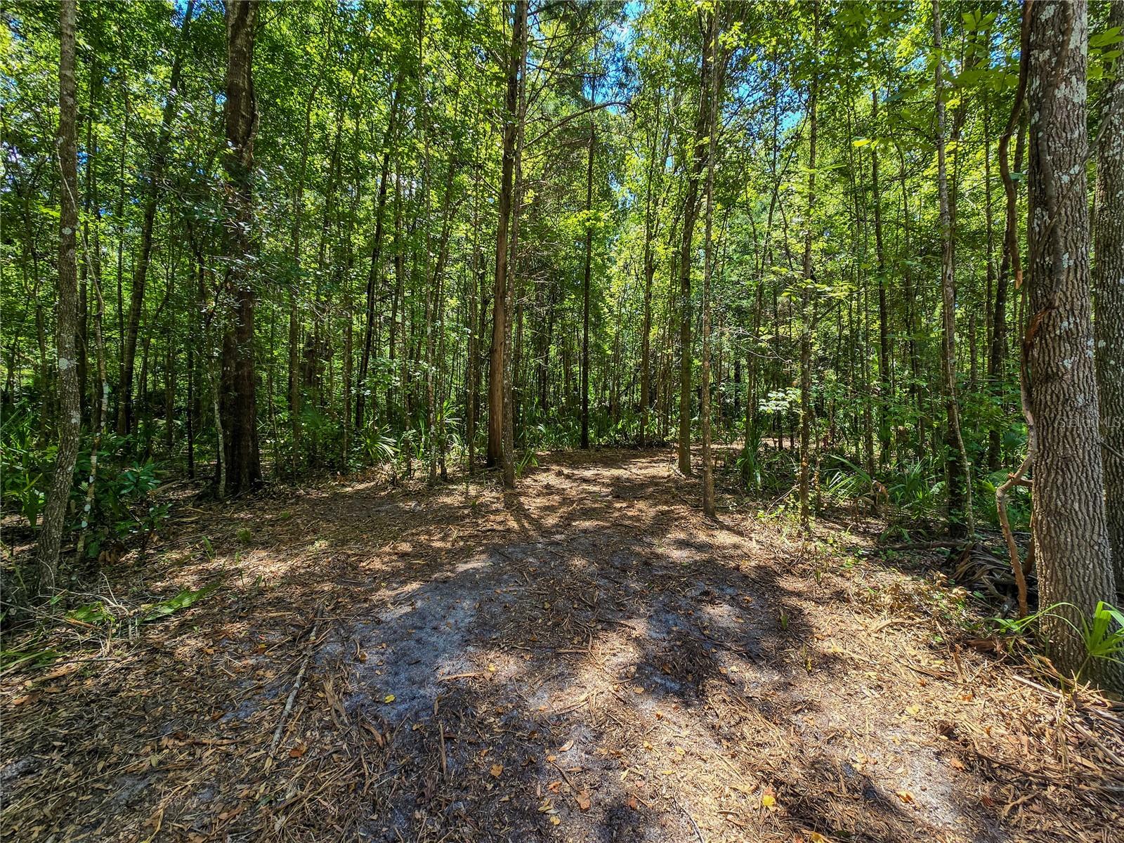 Details for 2381 Jennifer Terrace, INVERNESS, FL 34453