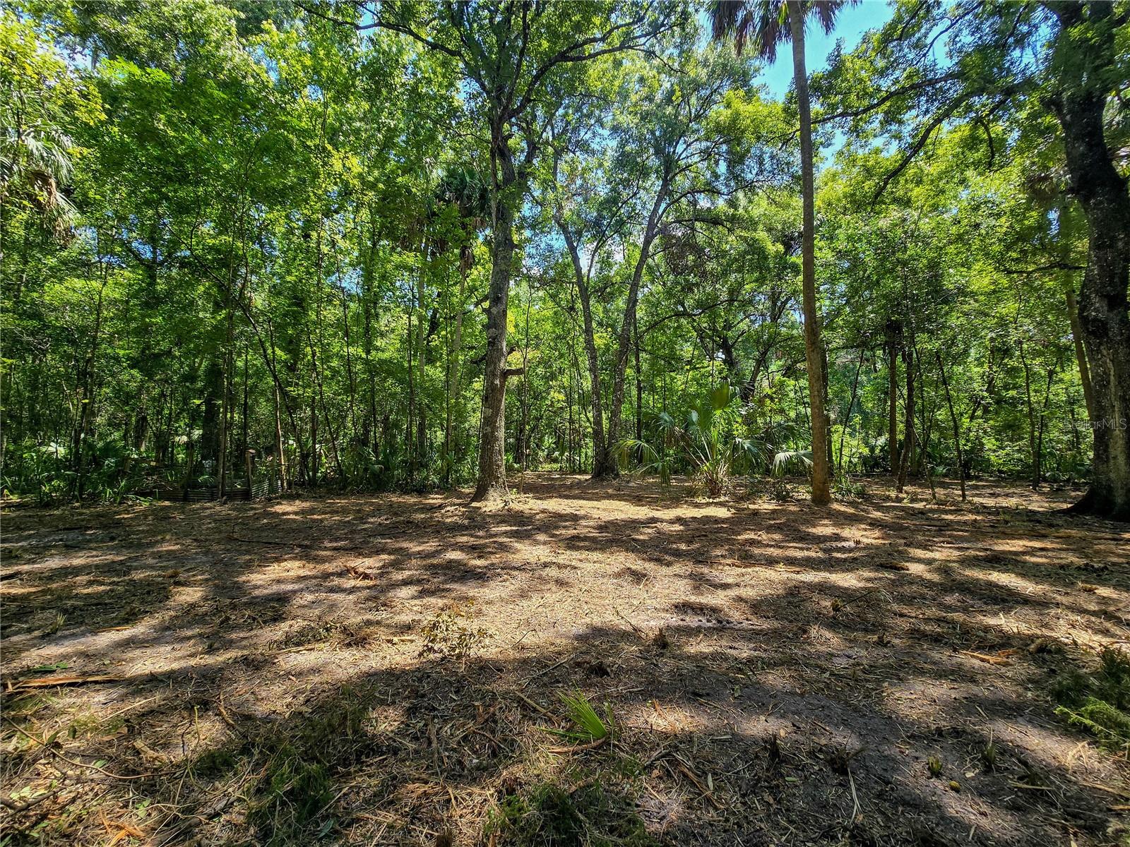 Image 9 of 22 For 2381 Jennifer Terrace