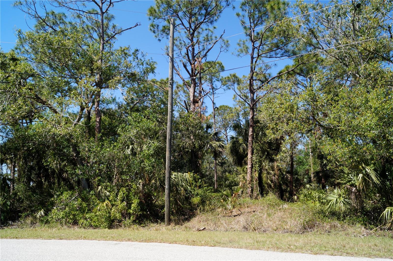 Image 4 of 6 For 8370 Chorley Avenue