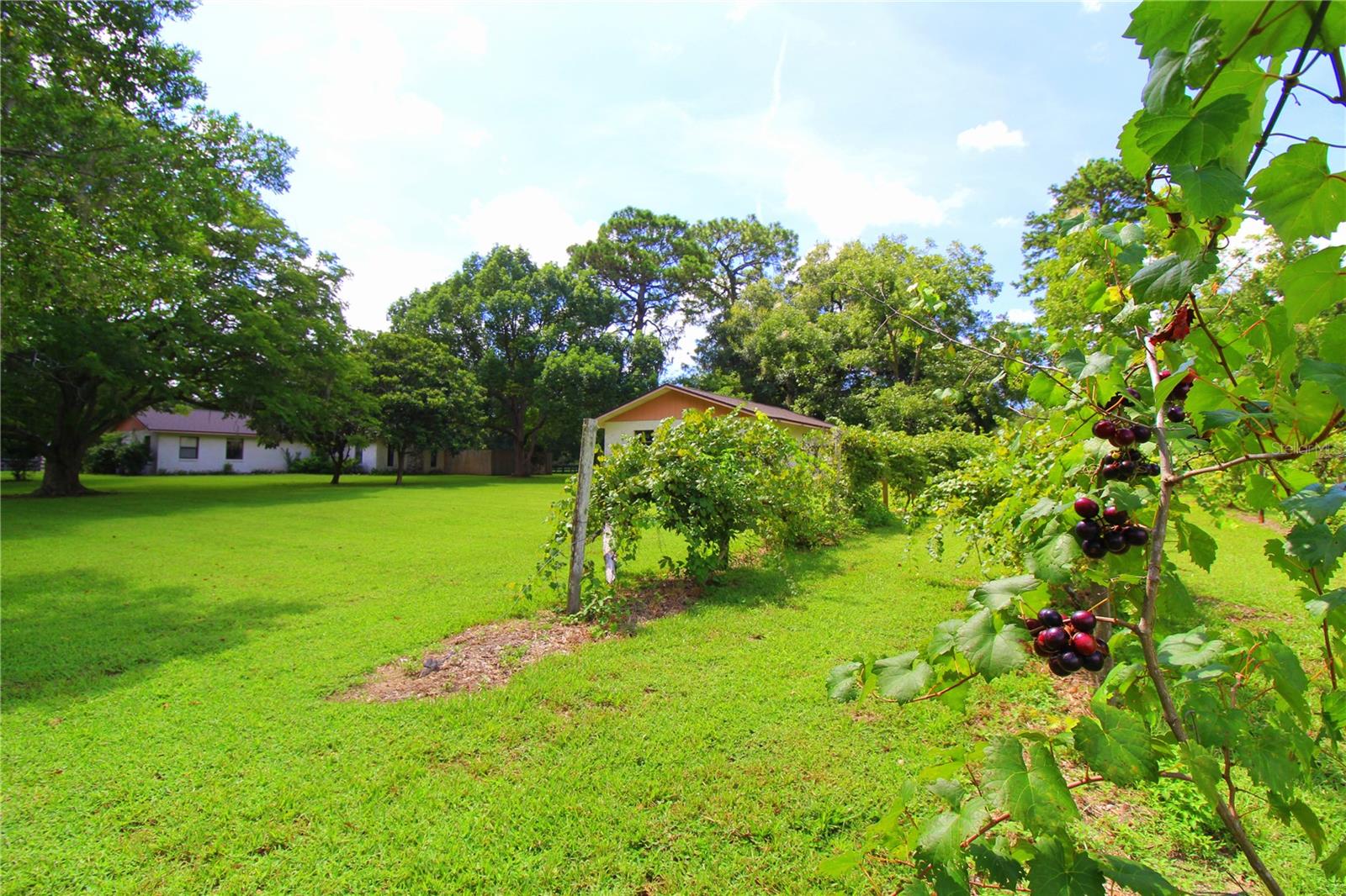 Image 41 of 44 For 8440 73rd Avenue