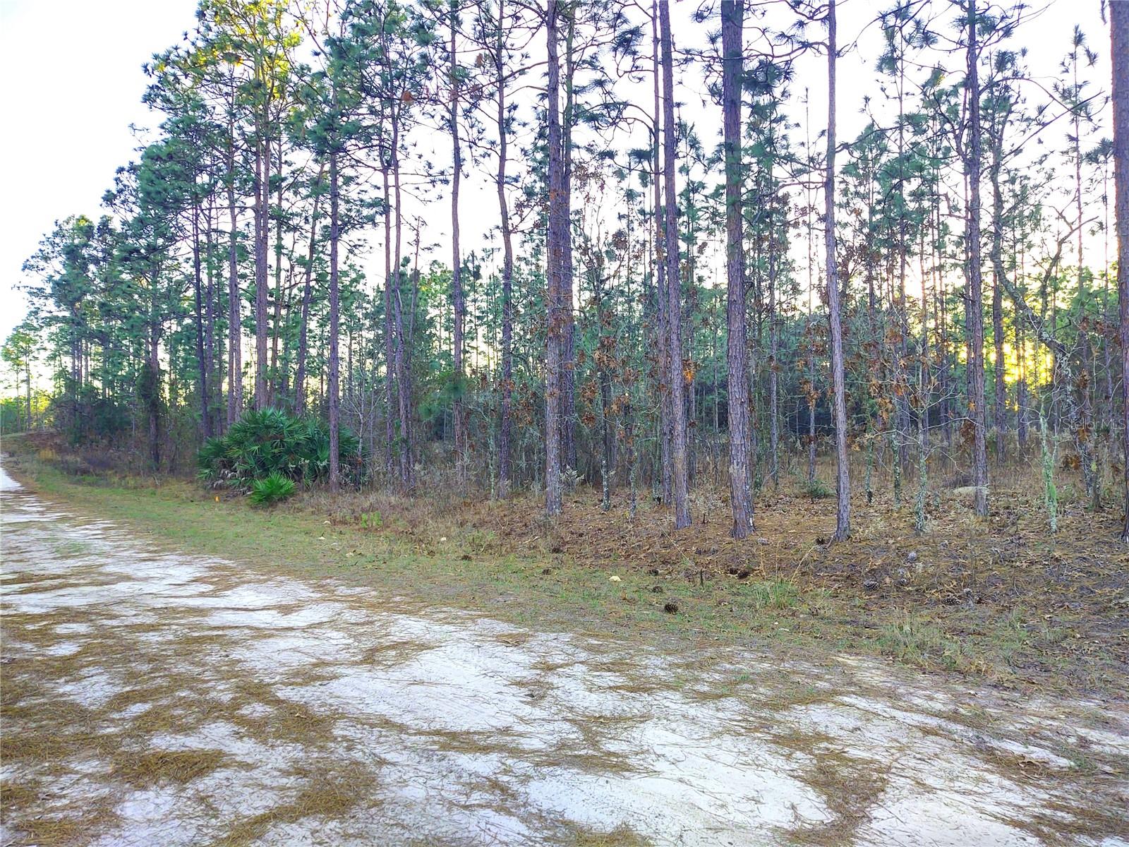 Image 3 of 13 For 5980 127th Ave Road