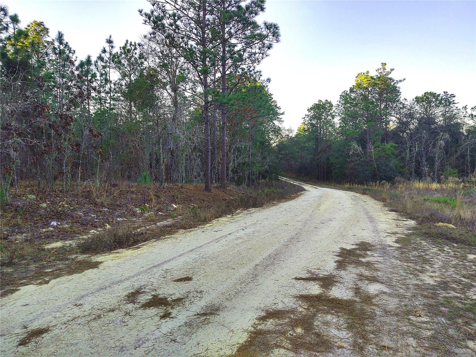 Image 5 of 13 For 5980 127th Ave Road