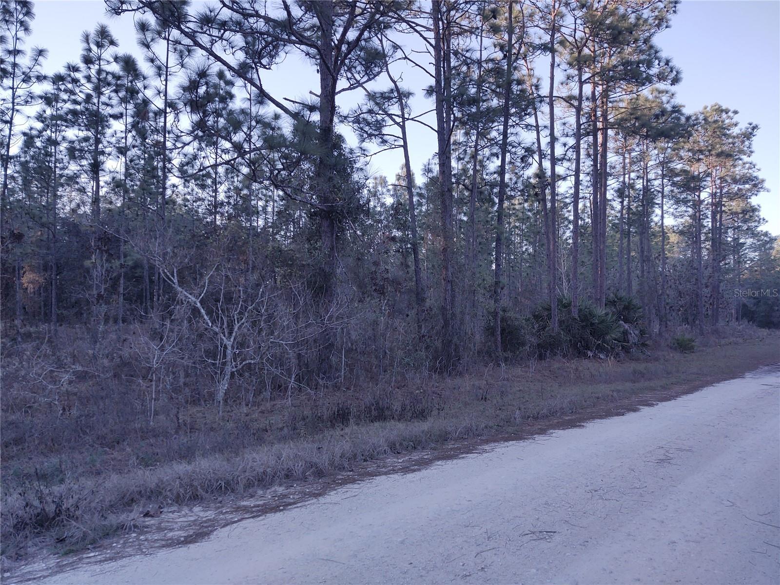 Image 6 of 13 For 5980 127th Ave Road