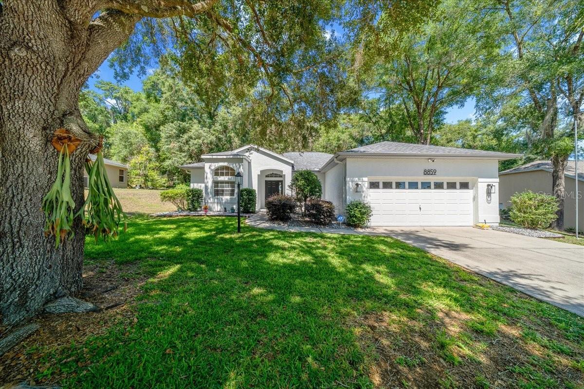 Details for 8859 196th Avenue Road, DUNNELLON, FL 34432
