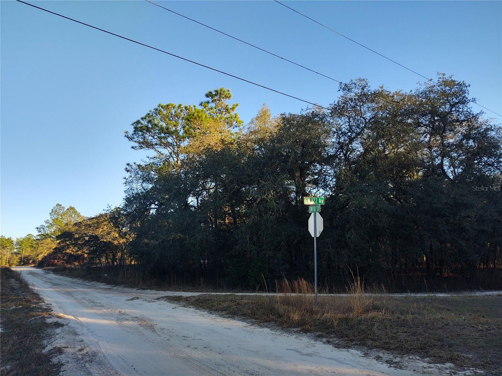 Details for Tbd Sw 81st Street Sw, DUNNELLON, FL 34432