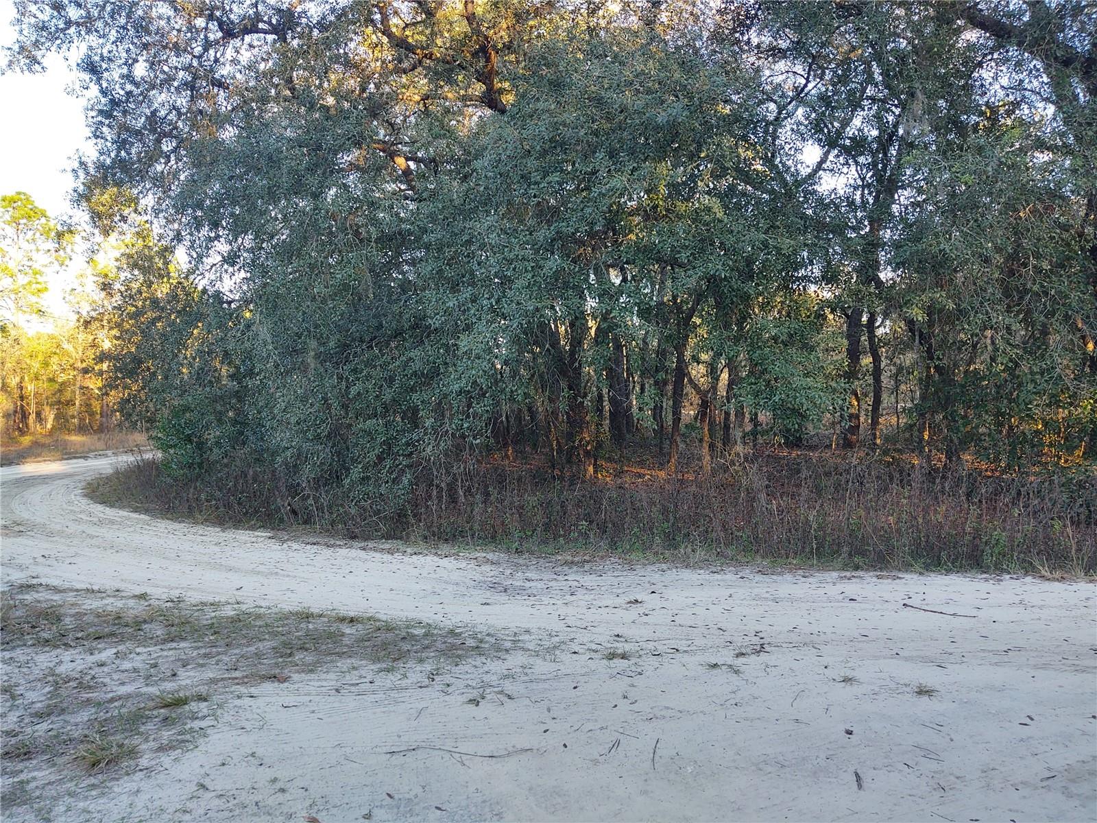 Image 3 of 8 For Tbd Sw 81st Street Sw
