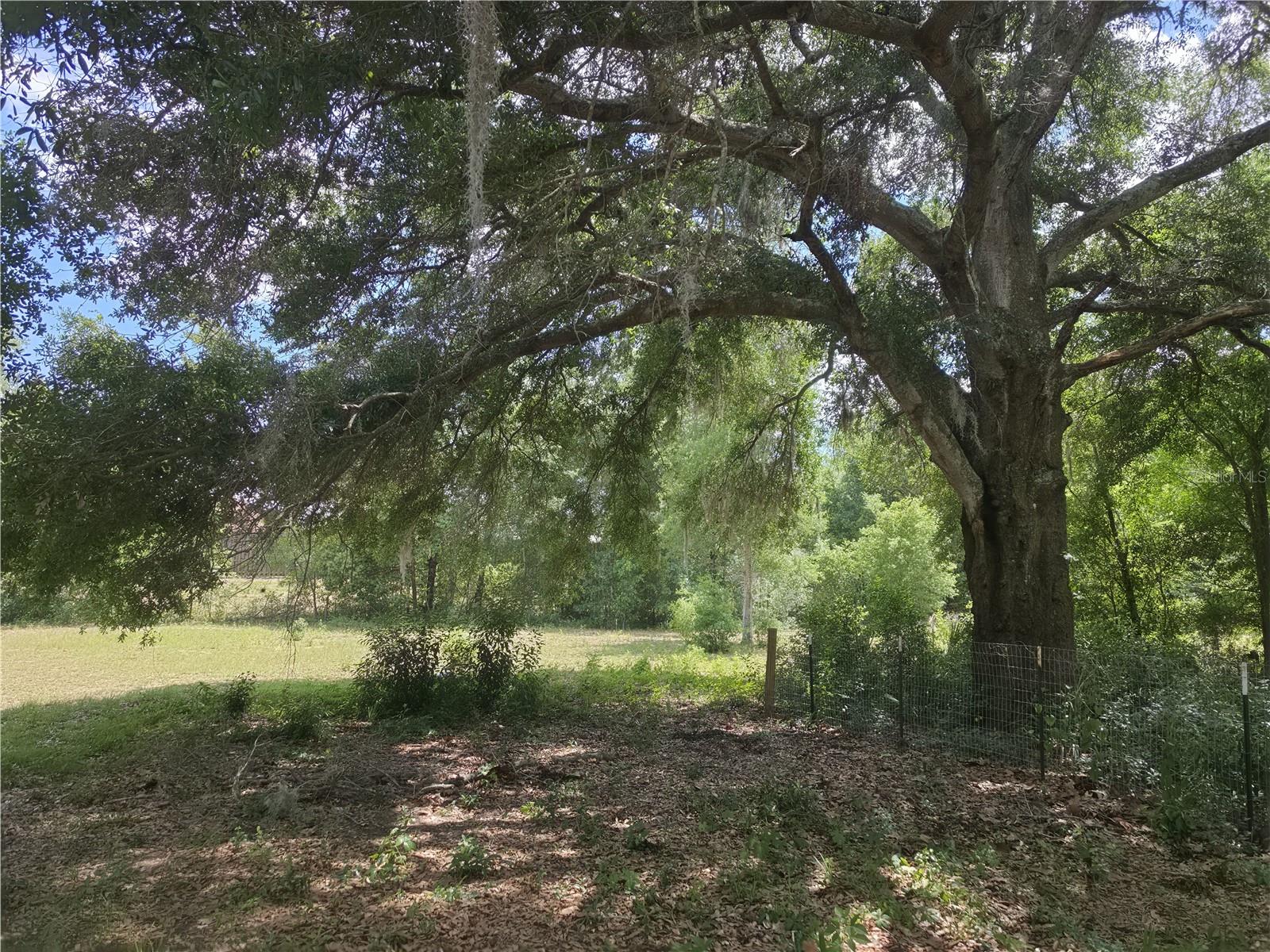 Image 18 of 19 For 8552 128th Lane