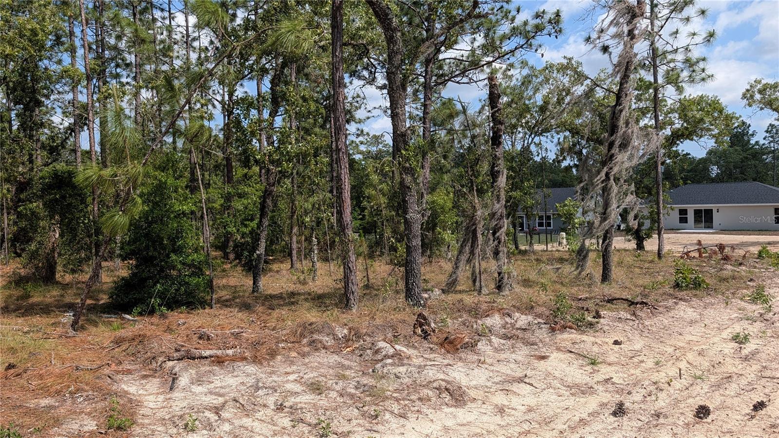 Image 2 of 10 For Lot 32 Hemlock Avenue