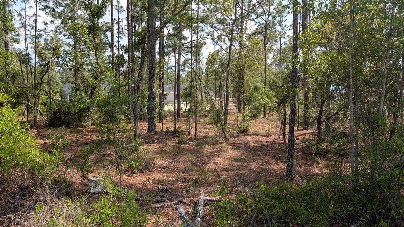 Image 5 of 10 For Lot 32 Hemlock Avenue