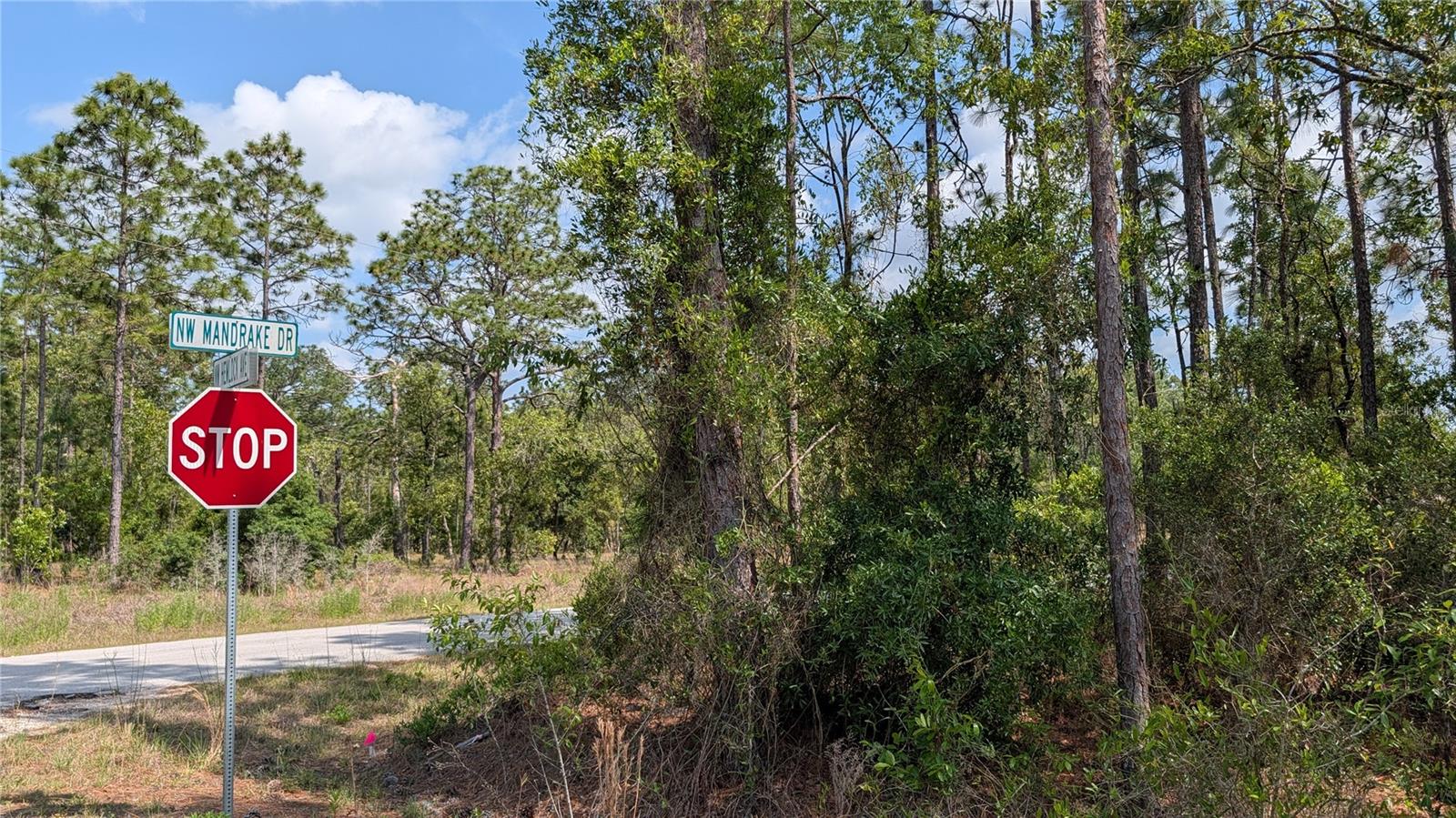 Image 6 of 10 For Lot 32 Hemlock Avenue