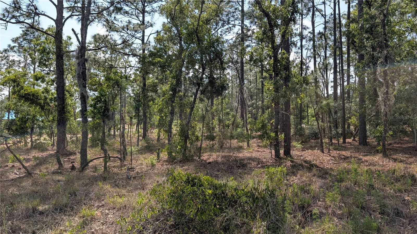 Image 8 of 10 For Lot 32 Hemlock Avenue