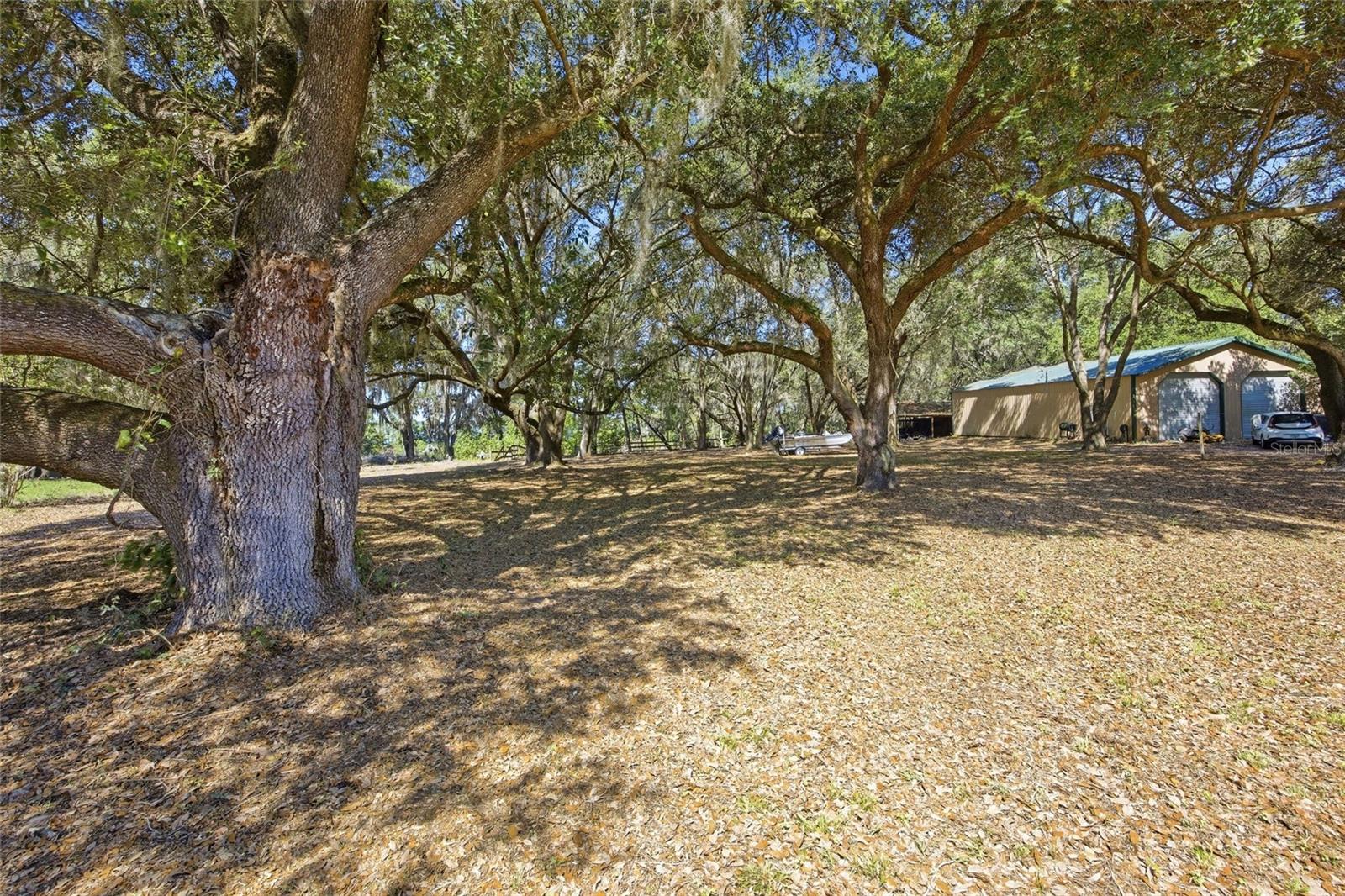 Image 16 of 52 For 3980 183rd Avenue Road