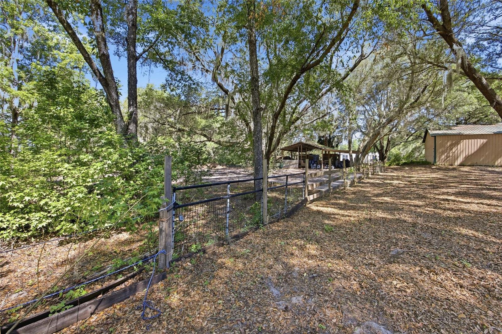 Image 9 of 52 For 3980 183rd Avenue Road