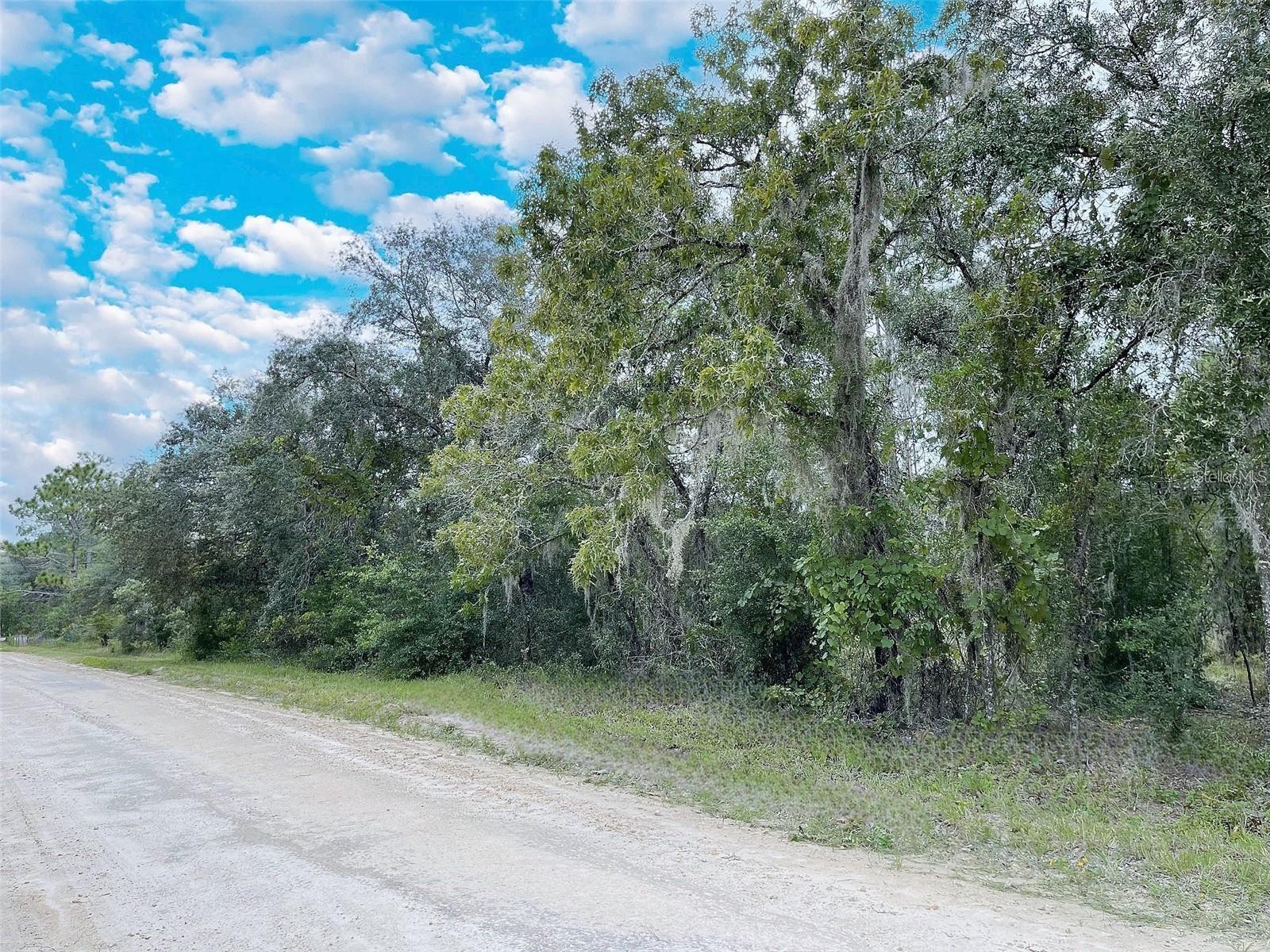 Details for 14250 2nd Street, WILLISTON, FL 32696