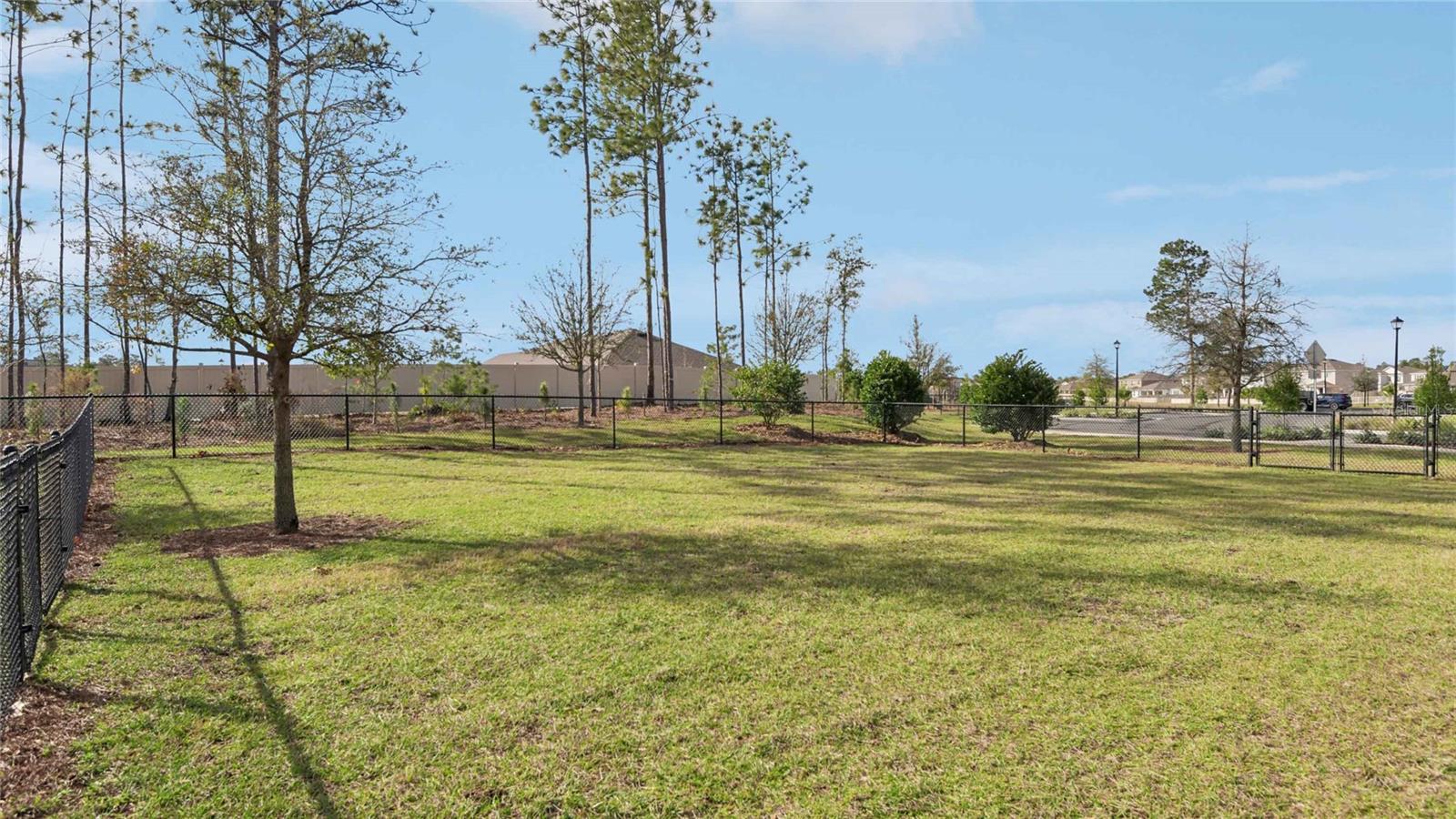 Listing photo id 47 for 11854 Memorial Drive