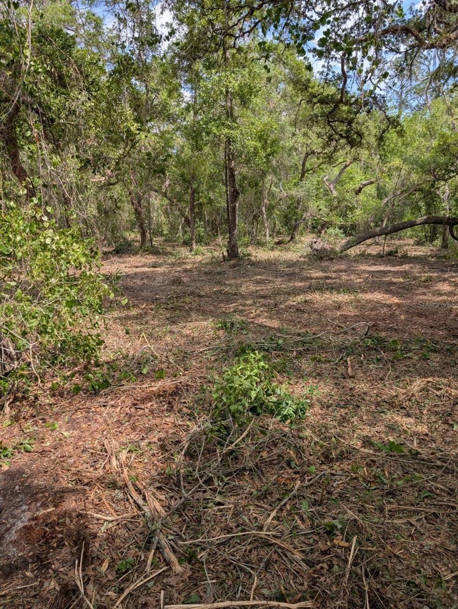 Image 10 of 10 For 0 220th Street