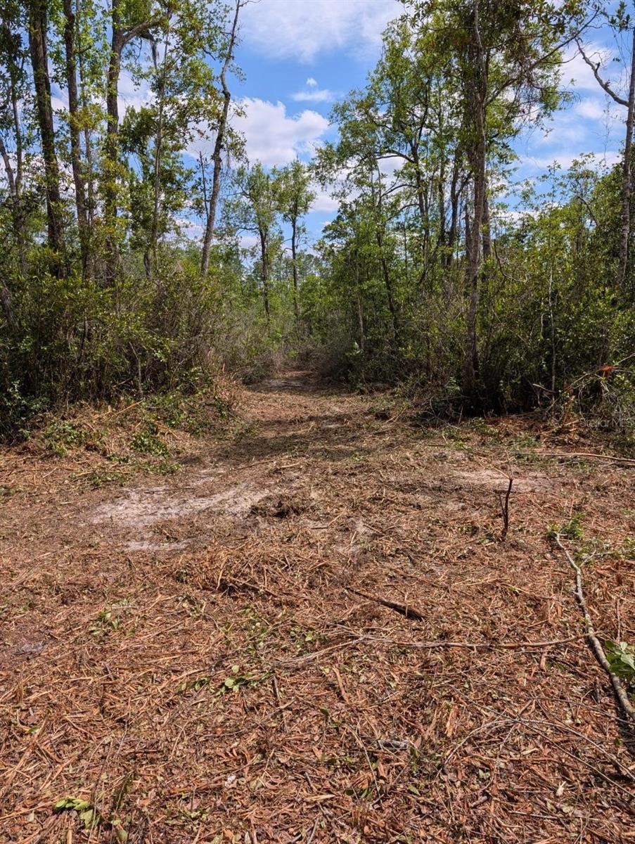 Image 6 of 10 For 0 220th Street
