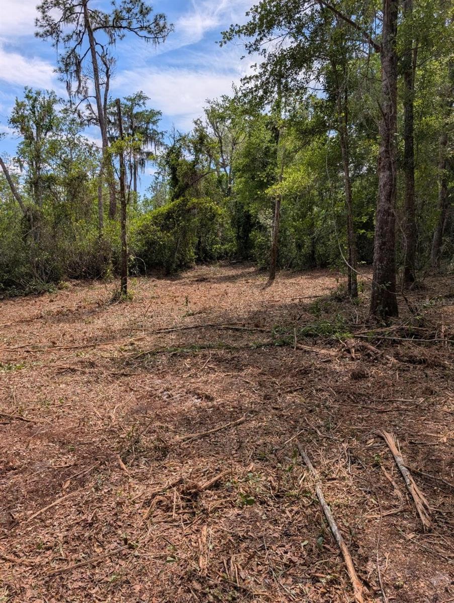Image 8 of 10 For 0 220th Street