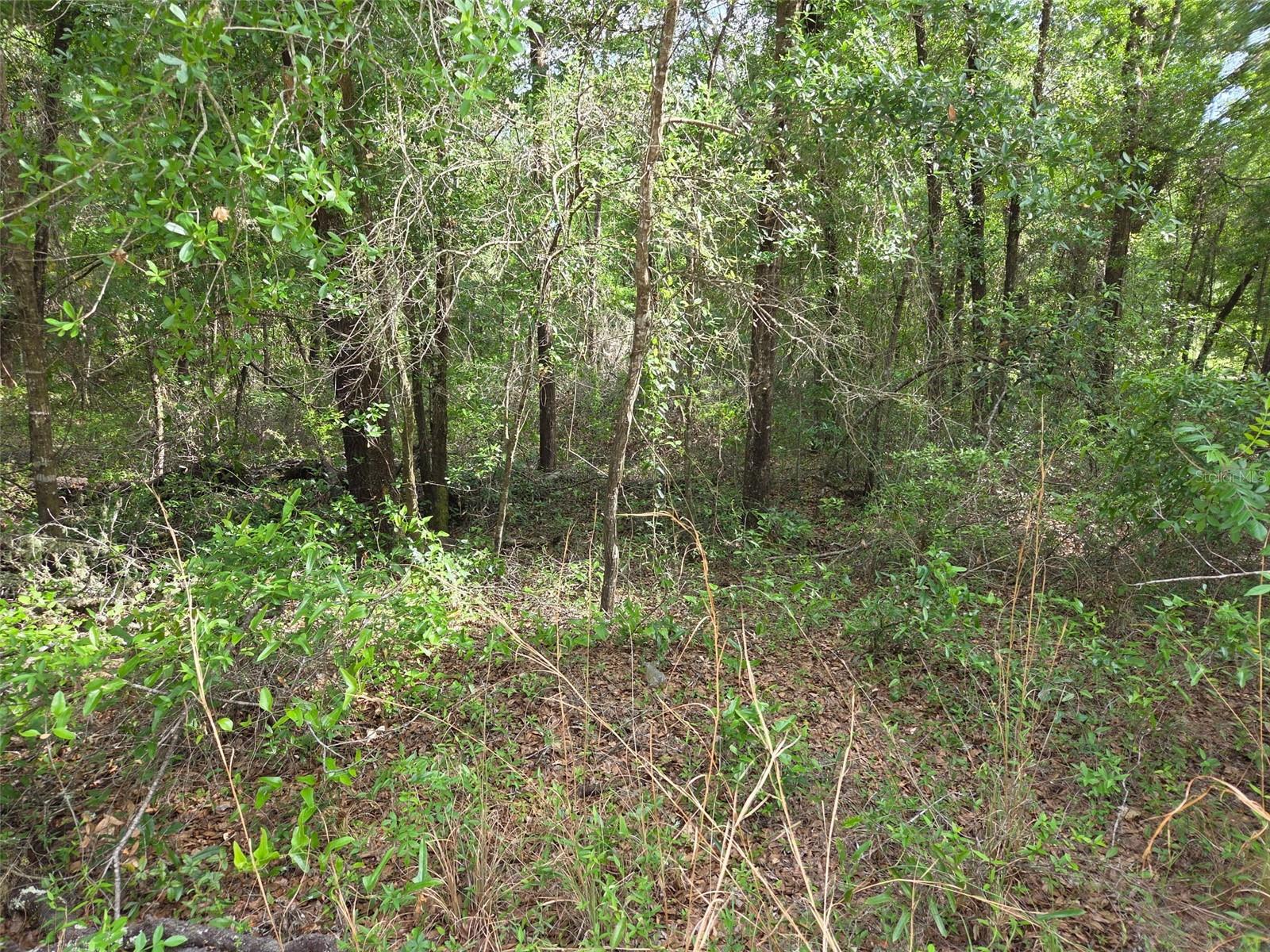 Details for 0000 85th Street, BRONSON, FL 32621