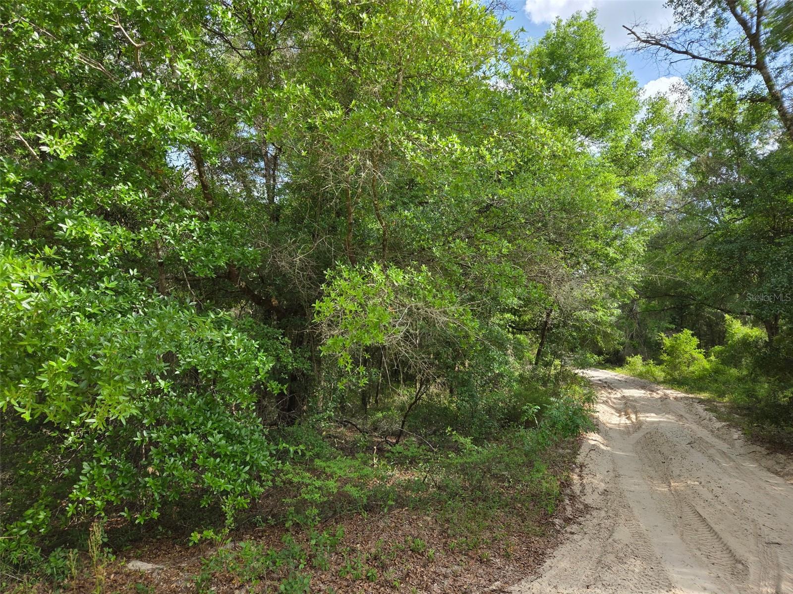 Image 4 of 9 For 0000 85th Street