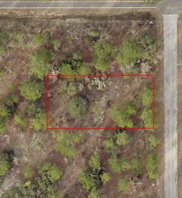 Listing Details for Tbd Temple Heights Court, DUNNELLON, FL 34431
